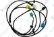 VAILLANT-Kabelbaum-VWL-57-77-127-5-IS-Vaillant-Nr-0020273855 gallery number 1